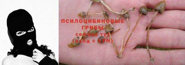 первитин Осинники