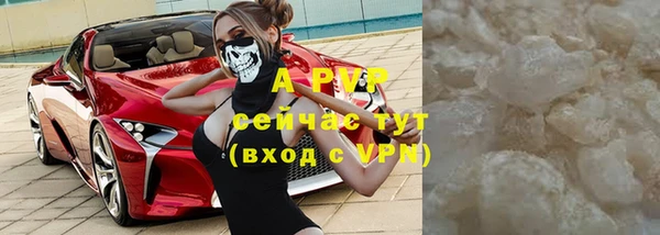 ешки Алексин