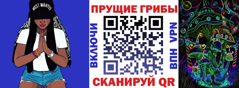Псилоцибиновые грибы MAGIC MUSHROOMS  наркота  Сортавала 